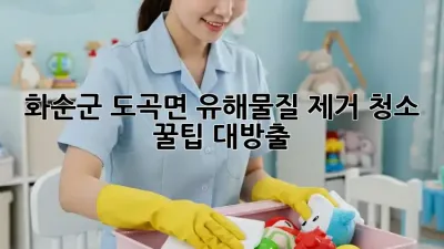 화순군 도곡면 유해물질 제거 청소 ✨ 꿀팁 대방출! 🏡