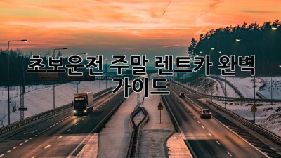 초보운전 주말 렌트카 완벽 가이드 🚗💨